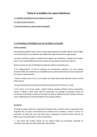 Miniatura del documento Tema 5 La ciudad y los cascos históricos.pdf