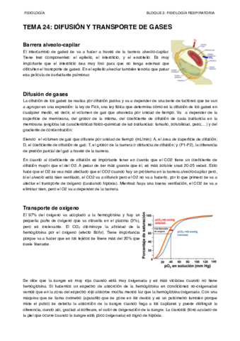 Miniatura del documento TEMA-24.pdf