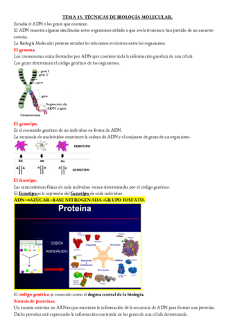 Miniatura del documento MICROBIOLOGIA-TEMA-15.pdf