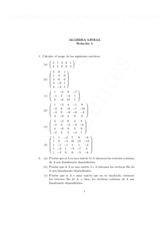 Miniatura del documento rel5-con-marca-de-agua-con-marca-de-agua.pdf