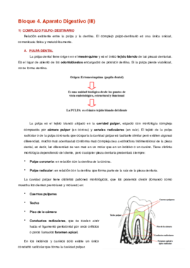 Miniatura del documento Bloque 4 (III).pdf