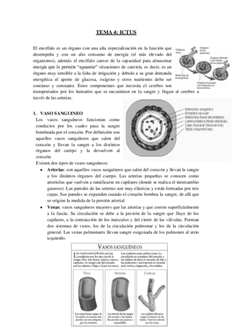 Miniatura del documento TEMA-4-ictus.pdf