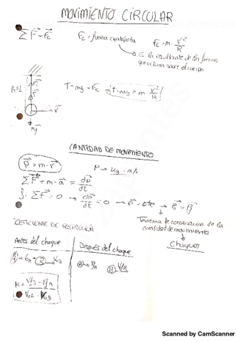 Miniatura del documento movimiento-circular-y-cantidad-de-movimiento.pdf