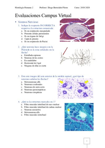 Miniatura del documento Evaluacion-SN-4-CV-Histologia-2.pdf