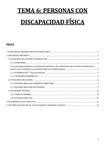 Miniatura del documento T.6 Discapacidad física