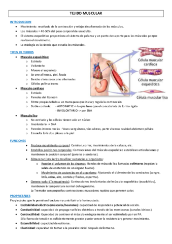 Miniatura del documento Fisiologia-Tejido-Muscular.pdf