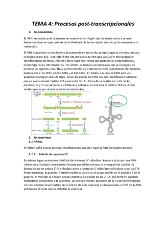 Miniatura del documento TEMA-4-.pdf