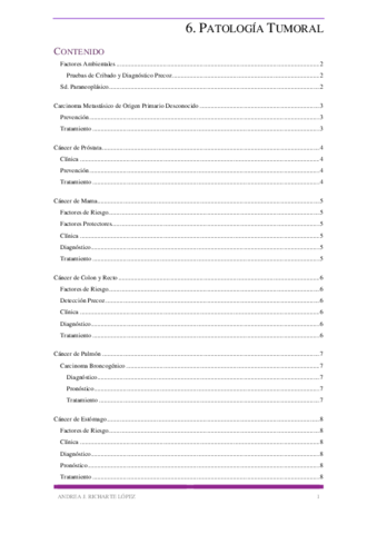 Miniatura del documento 6.pdf