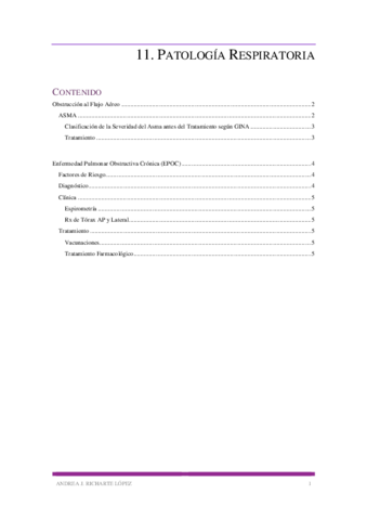 Miniatura del documento 11.pdf