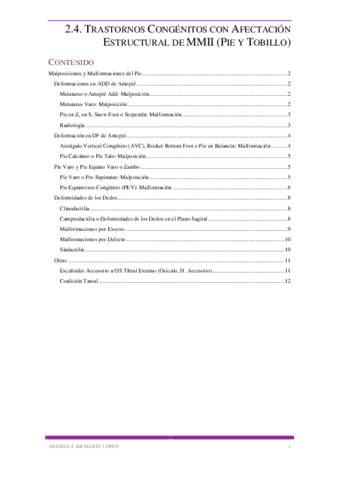 Miniatura del documento 2.pdf