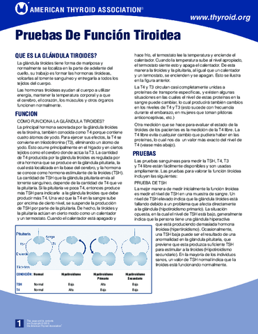 Miniatura del documento pruebasfunciontiroidea.pdf