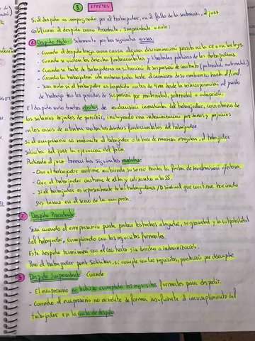 Miniatura del documento WhatsApp-Image-2019-01-07-at-15.jpg