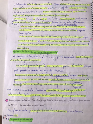 Miniatura del documento WhatsApp-Image-2019-01-07-at-15.jpg