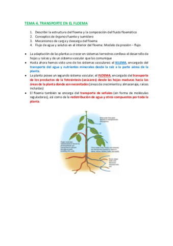 Miniatura del documento TEMA-4-C.pdf