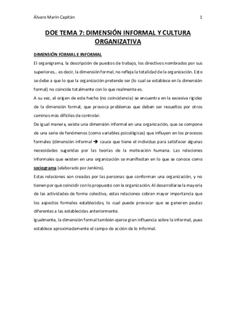 Miniatura del documento DOE-TEMA-7.pdf