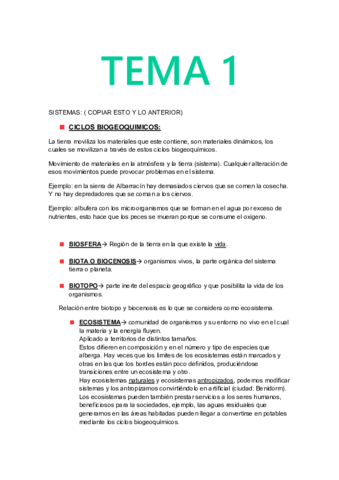 Miniatura del documento TEORIA MEDIO AMBIENTE.pdf