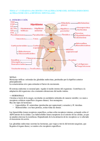 Miniatura del documento TEMA 6-7 CLINICA.pdf