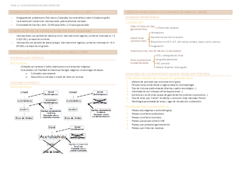 Miniatura del documento TEMA 12 (a).pdf