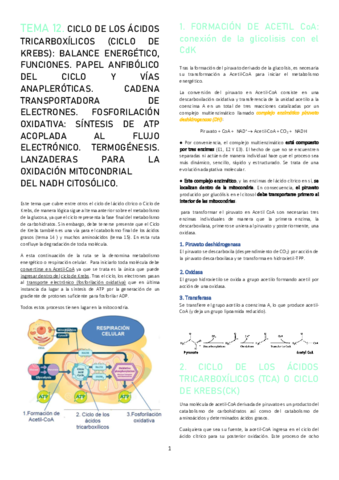 Miniatura del documento TEMA-12.pdf