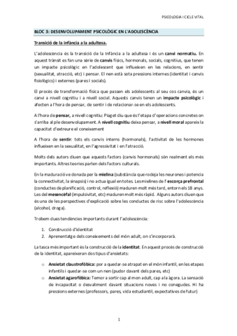 Miniatura del documento BLOC-3-i-4.pdf