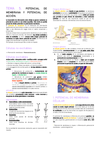 Miniatura del documento TEMA-5.pdf