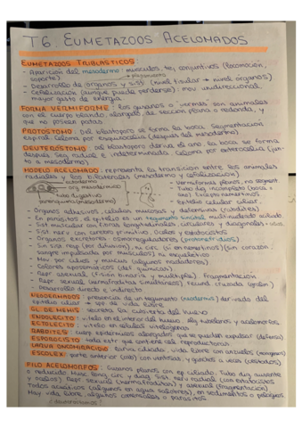 Miniatura del documento T6-ZOO.pdf