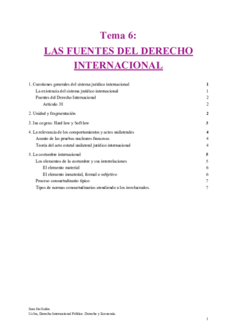 Miniatura del documento Tema-6-LAS-FUENTES-DEL-DERECHO-INTERNACIONAL.pdf
