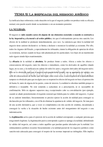 Miniatura del documento TEMA-V-Ineficacia-del-negocio-juridico.pdf