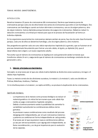 Miniatura del documento TEMA-8-BIOLOGIA.pdf