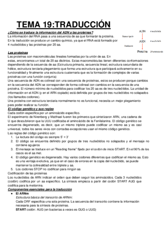Miniatura del documento TEMA-3TRADUCCION.pdf