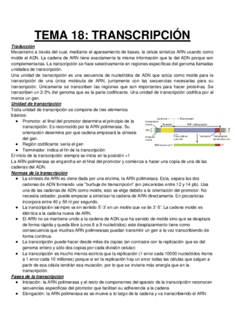 Miniatura del documento TEMA-2TRANSCRIPCION.pdf