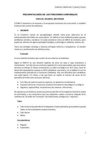 Miniatura del documento TEMA-3-4-5-TCC-1.pdf