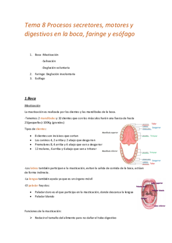 Miniatura del documento Tema-8-Procesos-secretores.pdf