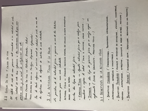 Miniatura del documento image.jpg