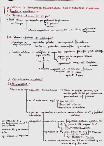 Miniatura del documento 9511dbed7a7445a38581c49037e73609.pdf
