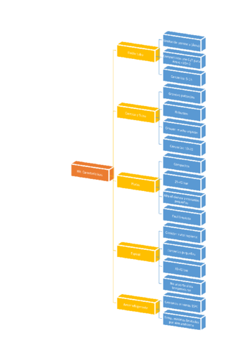 Miniatura del documento ESQUEMA-HX-CARACTERISTICAS.pdf