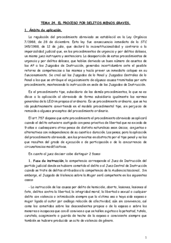 Miniatura del documento TEMA-24.pdf