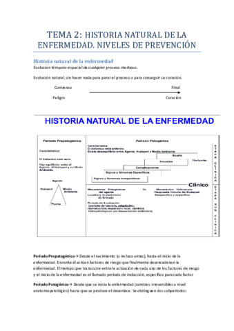 Miniatura del documento TEMA-2.pdf