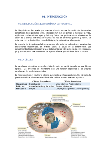 Miniatura del documento 01. Introducción