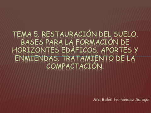 Miniatura del documento tema-5-restauraciongrado2019alumnos.pdf