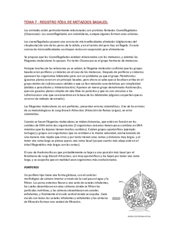 Miniatura del documento TEMA-7.pdf