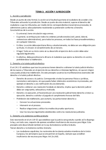 Miniatura del documento Tema 3 - Accion y jurisdiccion.pdf