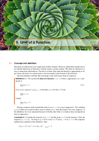 Miniatura del documento Calculo-I-ch05-Limit-of-a-Function.pdf