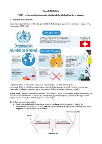Miniatura del documento Salud-Publica-T.pdf