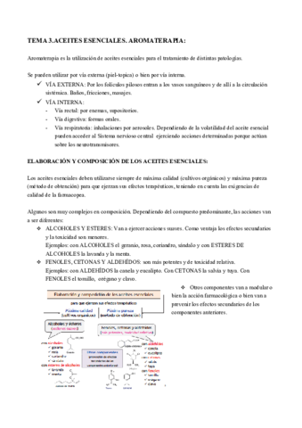 Miniatura del documento TEMA-3.pdf