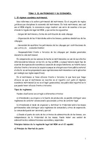 Miniatura del documento TEMA-3.pdf