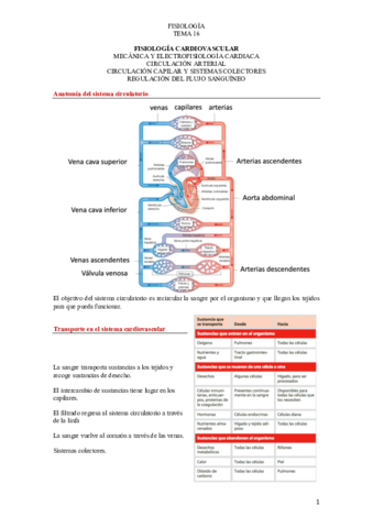 Miniatura del documento T.pdf