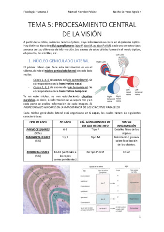 Miniatura del documento TEMA-5-PROCESAMIENTO-VISUAL.pdf