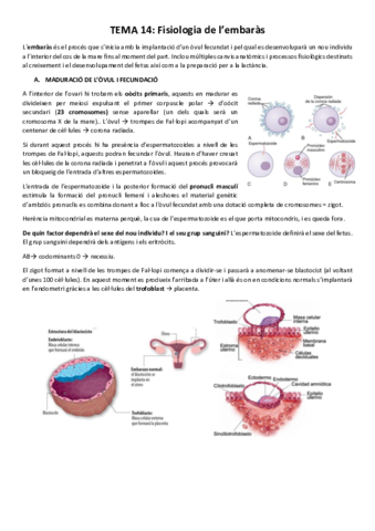 Miniatura del documento tema-14-fisiologia-de-lembaras.pdf
