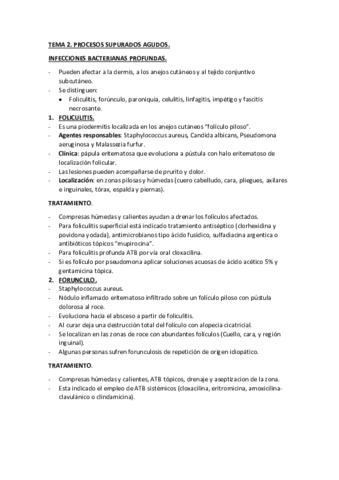 Miniatura del documento TEMA-2.pdf